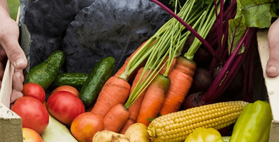 A close up of vegetables including carrots and corn